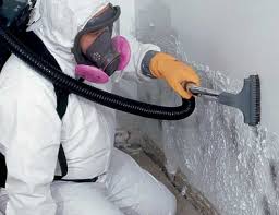 Best Mold Documentation for Insurance Claims  in USA